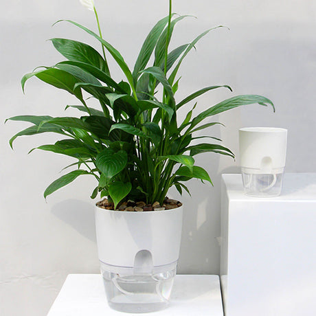 3PCS Self Watering Planter Pots Double Layer Green Plant Flower Pot for Garden Balcony Indoor Cultivation