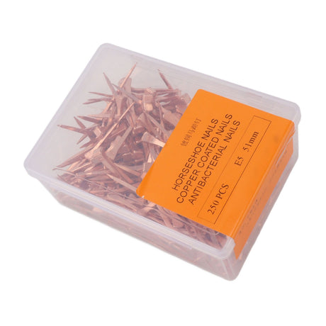250Pcs Horseshoe Nails Copper Plated Rustproof Equestrian Riding Equipment Pet Supplies 51mm E5