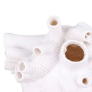 Creative Anatomical Heart Vases Resin Sculpture Heart Shaped Art Flower Vases Desktop Home Decoration for Living Room White