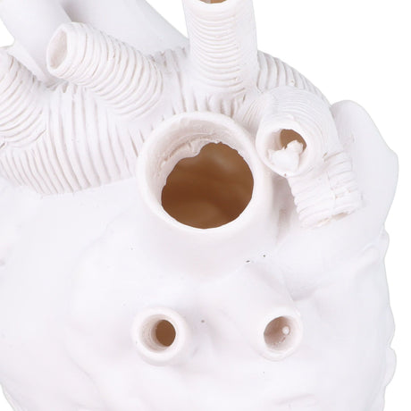Creative Anatomical Heart Vases Resin Sculpture Heart Shaped Art Flower Vases Desktop Home Decoration for Living Room White