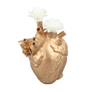 Creative Anatomical Heart Vases Resin Sculpture Heart Shaped Art Flower Vases Desktop Home Decoration for Living Room Gold