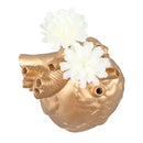 Creative Anatomical Heart Vases Resin Sculpture Heart Shaped Art Flower Vases Desktop Home Decoration for Living Room Gold