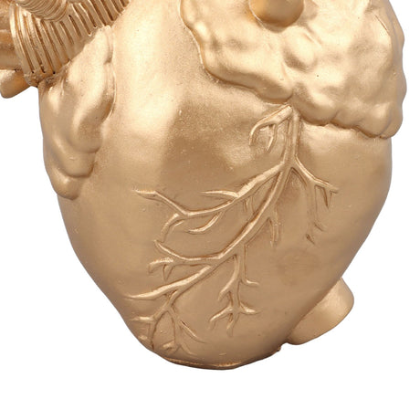 Creative Anatomical Heart Vases Resin Sculpture Heart Shaped Art Flower Vases Desktop Home Decoration for Living Room Gold
