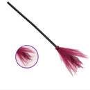 5Pcs Halloween Witch Brooms Plastic Witch Broomstick Wizard Flying Broom for Halloween Party Haunted House Decoration