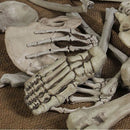 28Pcs Halloween Skeleton Bones Halloween Props Skeleton Tricky Bones Haunted House Party Decorations