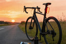 2Pcs Bike Tail Light 4 Modes Bike Rear Light Waterproof Bicycle Taillight-Red