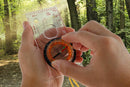 Professional Compass with Map Scale Multifunctional Baseplate