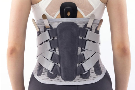 Adjustable Lumbar Support Belt Lower Back Brace With Lumbar Pad Waist Belt - L