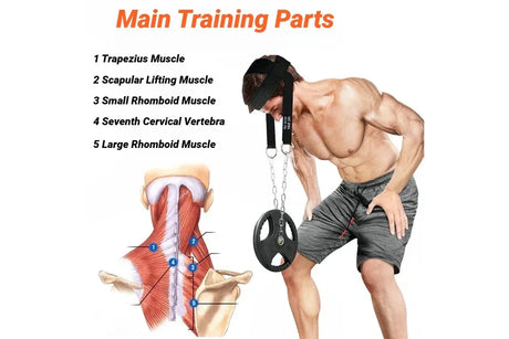 Head Neck Training Harness Exercise Cervical Spine Strap Adjustable Gym Fitness Weight Bearing Device - Blue