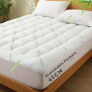 800GSM Mattress Topper Viscose Derived from Bamboo, Thick Pillowtop Fitted Mattress Cover with 45cm Deep Skirt - Machine Washable Hypoallergenic(Queen,,Green)