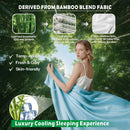 4 Piece Hotel Bamboo Cooling Sheet Set -Ultra Soft 2000TC Breathable Bed Sheets Set with 37 Centimetre Deep Pocket-Cooling Sheets for Hot Sleepers(Sky Blue,Queen)