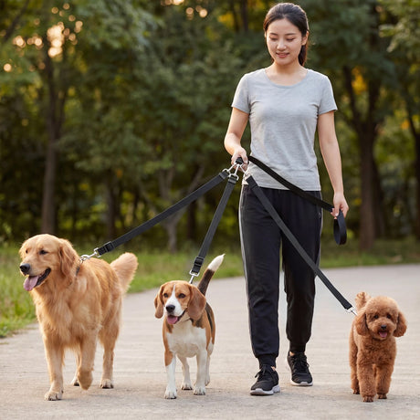 Chihuahua Pet Leash Double Headed Nylon 126cm Red Traction handle length and width 2.5cm, length 126cm, auxiliary rope width 2.5cm, length 76cm