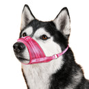 Soft Breathable Mesh Dog Muzzle for Small Medium Large Dogs, Adjustable Anti-Biting Barking Chewing Muzzle for Walking, Training, and Grooming (S, Black)