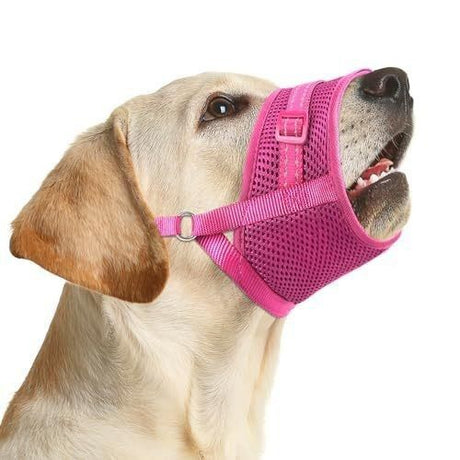 Soft Breathable Mesh Dog Muzzle for Small Medium Large Dogs, Adjustable Anti-Biting Barking Chewing Muzzle for Walking, Training, and Grooming (S, Black)