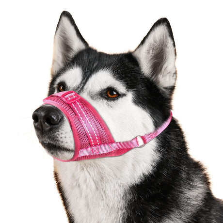Soft Breathable Mesh Dog Muzzle for Small Medium Large Dogs, Adjustable Anti-Biting Barking Chewing Muzzle for Walking, Training, and Grooming (XL, Black)