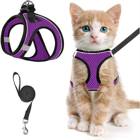 Escape-Proof Cat Harness and Leash Set with Reflective Soft Mesh Vest for Safe Outdoor Adventures with Your Feline Friend (S, Black)