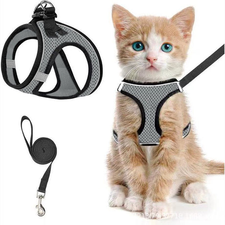 Escape-Proof Cat Harness and Leash Set with Reflective Soft Mesh Vest for Safe Outdoor Adventures with Your Feline Friend (S, Black)