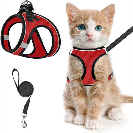 Escape-Proof Cat Harness and Leash Set with Reflective Soft Mesh Vest for Safe Outdoor Adventures with Your Feline Friend (S, Green)