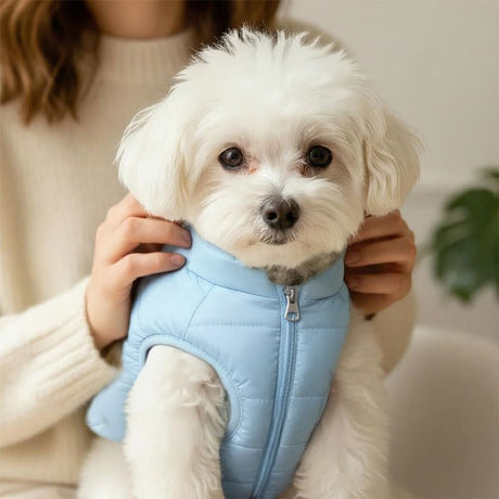 Winter Warm Quilted Vest for Small Pets – Water-Resistant, Fleece-Lined, Easy-On Design with Leash Hole for Indoor and Outdoor Use (L, Blue)