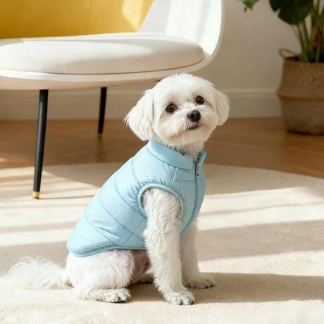 Winter Warm Quilted Vest for Small Pets – Water-Resistant, Fleece-Lined, Easy-On Design with Leash Hole for Indoor and Outdoor Use (L, Blue)