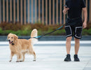 Hands-Free Dog Leash with Waist Belt and Storage Pouch, Shock-Absorbing Bungee Leash for Running, Walking, and Outdoor Adventures, Reflective Safety Design for Night Walks (Bronze)