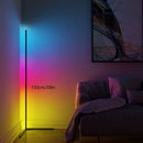 Black Silver 1.6m Floor Light Smart Voice-Controlled Light USB Powered Light Ambient Light
