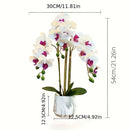 Artificial Phalaenopsis Touch-Sensitive Artificial Plant Moisturizing - Purple - Size 50-11-11