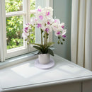Artificial Phalaenopsis Touch-Sensitive Artificial Plant Moisturizing - Purple - Size 50-11-11