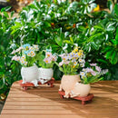 Smiling Face Planter with Mini Rocking Chair, Simulation Pot for Succulents, Indoor and Outdoor Garden Home Decor