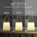 Pack of 2 LED Camping Lights, Portable LED Tent Lantern with 3 Modes