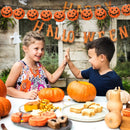 Fall and Halloween Decorations 1.5 meters with 10 lights Halloween String Lights with Lantern Plug in Outdoor Used for Window