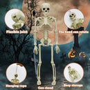 16" Halloween Skeleton 2pcs Full Body Posable Halloween Skeletons with Movable Joints Realistic Spooky Skeletons for Haunted House
