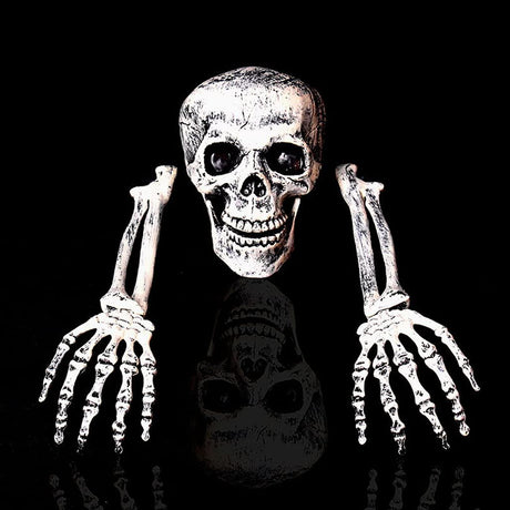 Halloween Decorations Skeleton Stakes, Groundbreakers for Best Halloween Yard Decorations Outdoor Graveyard