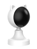 CARLA HOME Interactive Laser Toy for Cats with Adjustable Angle, USB Rechargeable & 2 Speed Modes
