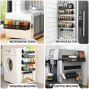 CARLA HOME 5 Pack Magnetic Spice Rack for Fridge Kitchen with Hook Bar