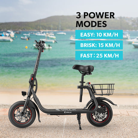 VALK Electric Scooter with Seat, Disc brakes, 12