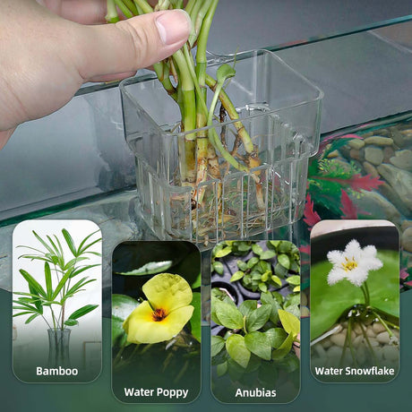 2pc Aquarium Plant Holder Clear Hanging Aquatic Planters with Hooks for Fish Tank Decor