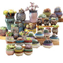 4/5/6 Pots Set Ceramic Clay Pottery Pots Succulent Flower Planter Draining Hole(Style 02