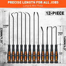 HORUSDY 12Pc Precision Hook and Pick Set O-Ring Seal Remover Hooks Puller Tool