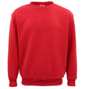 New Adult Unisex Plain Pullover Fleece Jumper Mens Long Sleeve Crew Neck Sweater, Grey, S