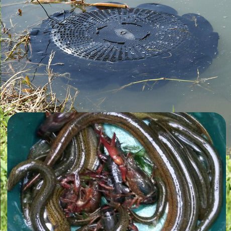 10Hole Eel Fishing Trap Cage Loach Fish Shrimp Net Folding Portable Catch Basket