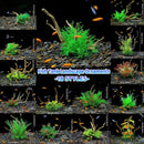Aquarium Landscaping Decoration Artificial Wood and Plants Fish Tank Ornament - CM2401-Green
