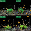 Aquarium Landscaping Decoration Artificial Wood and Plants Fish Tank Ornament - CM2503-Green