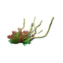Aquarium Landscaping Decoration Artificial Wood and Plants Fish Tank Ornament - CM3303-Green Orange