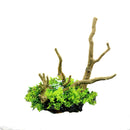Aquarium Landscaping Decoration Artificial Wood and Plants Fish Tank Ornament - CM3303-Green Orange