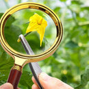 15X Handheld Magnifying Glass 60mm Optical Lens for Reading Jewelry Hobby