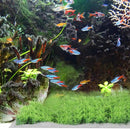 10pcs Stainless Steel Wire Mesh for Water Plants Fish Tank Aquarium Decoration - 8x8cm