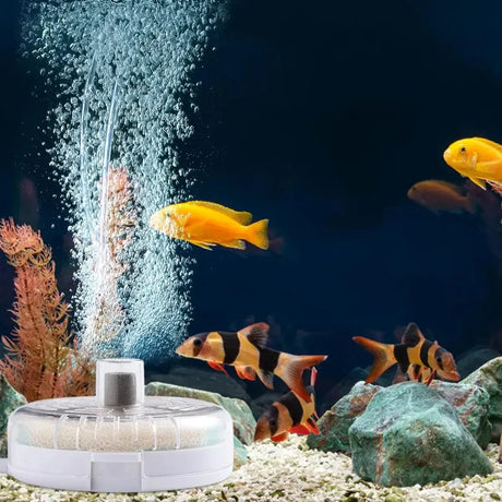 Aquarium Filter Special Mini Small Tank Filter Circle for Freshwater or Marine - 8cm Filter