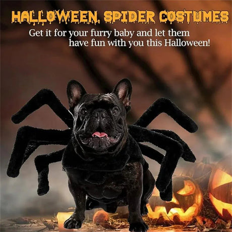 Pet Spooky Big Spider Halloween Costume Dress Up for Dogs Cats and Small Pets - L