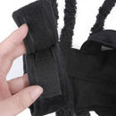 Pet Spooky Big Spider Halloween Costume Dress Up for Dogs Cats and Small Pets - L